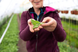 Chantal Spieard Fotografie Amsterdam farming the future