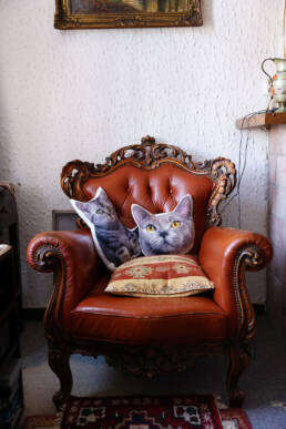 Chantal-Spieard-Fotografie-Amsterdam-Home-kattenkussens